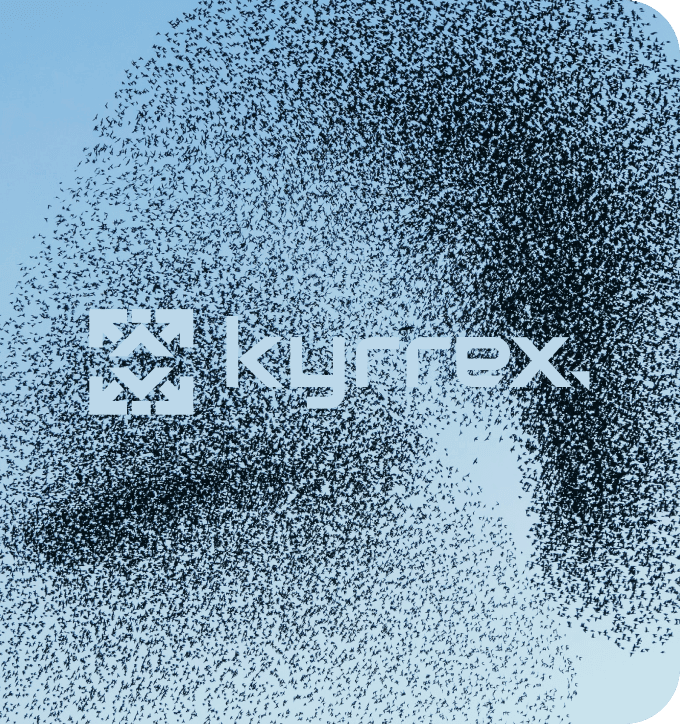 ready-invest-kyrrex